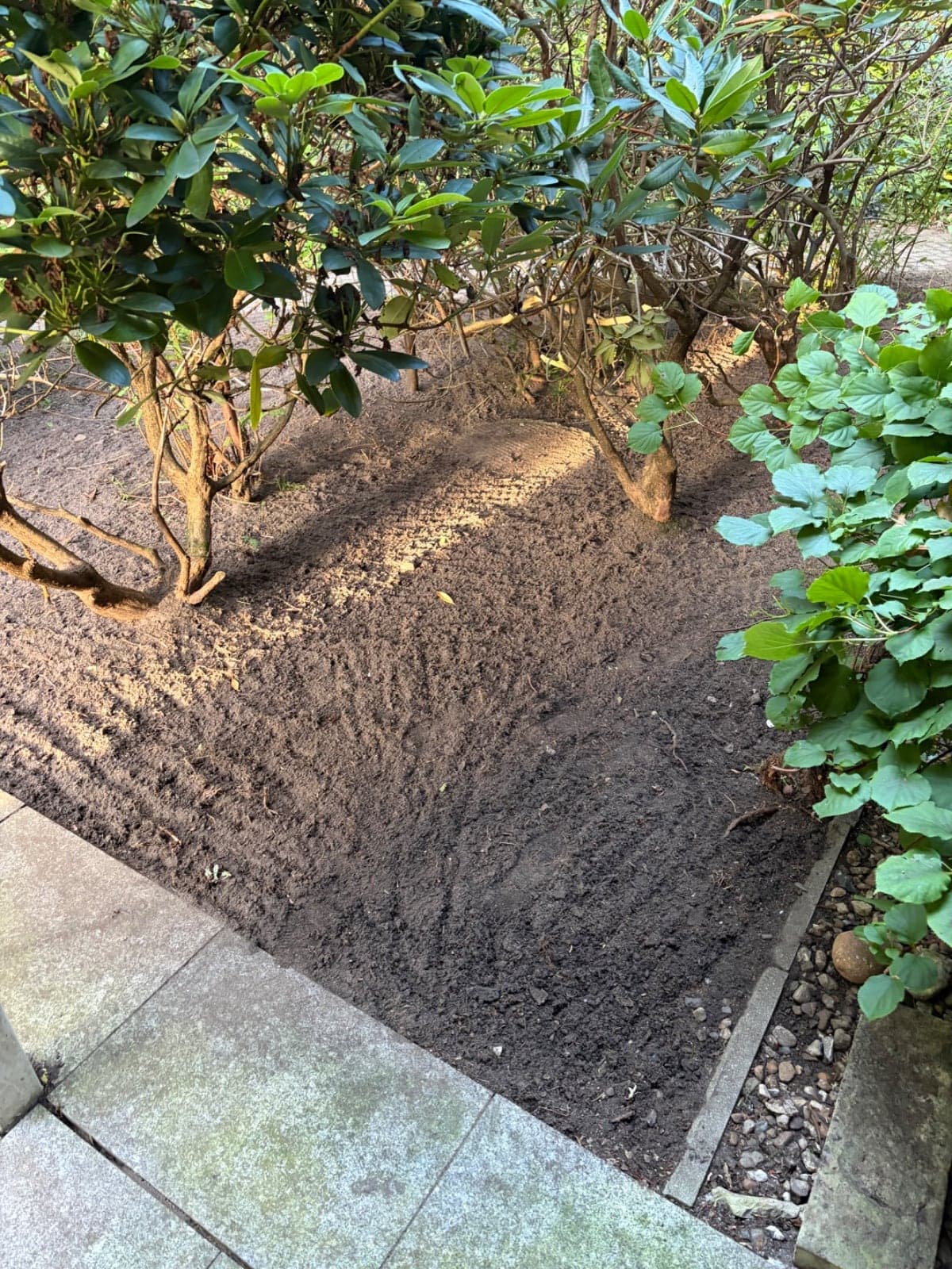 Beetkante mit Granitsteinen entlang der Einfahrt