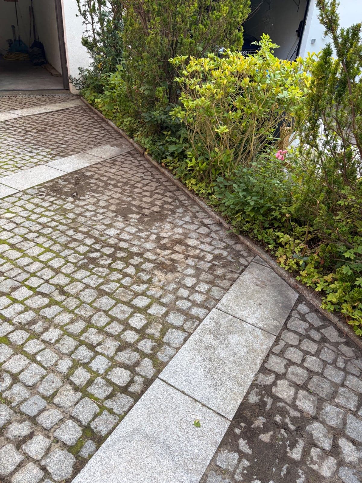 Gepflasterte Zufahrt zur Garage mit angrenzender Bepflanzung